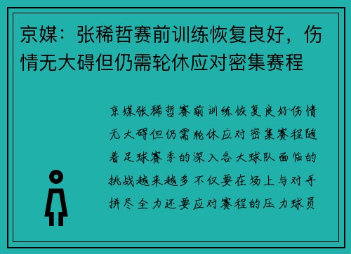京媒：张稀哲赛前训练恢复良好，伤情无大碍但仍需轮休应对密集赛程