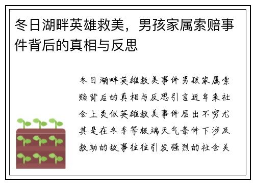 冬日湖畔英雄救美，男孩家属索赔事件背后的真相与反思